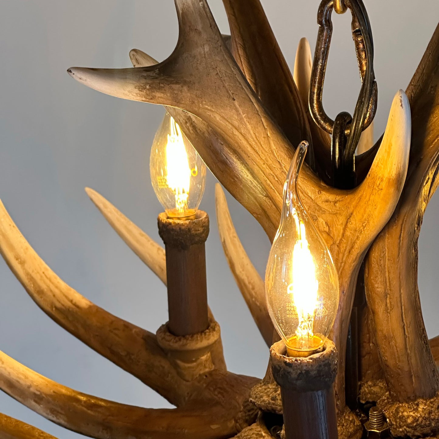 Lustre Steamboat Springs